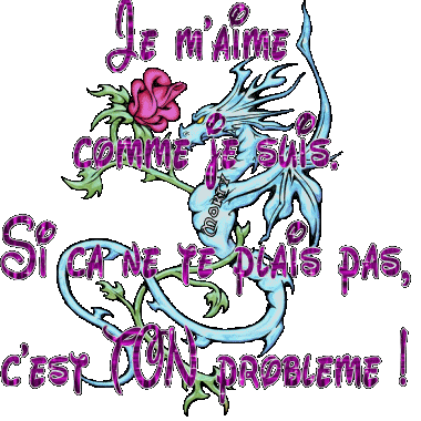 Si sa ne te plait pas pl 